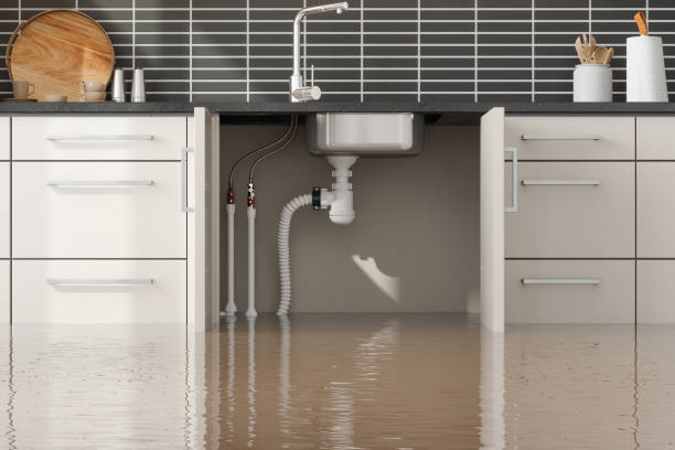 Professional Water damage restoration in New Prague, MN